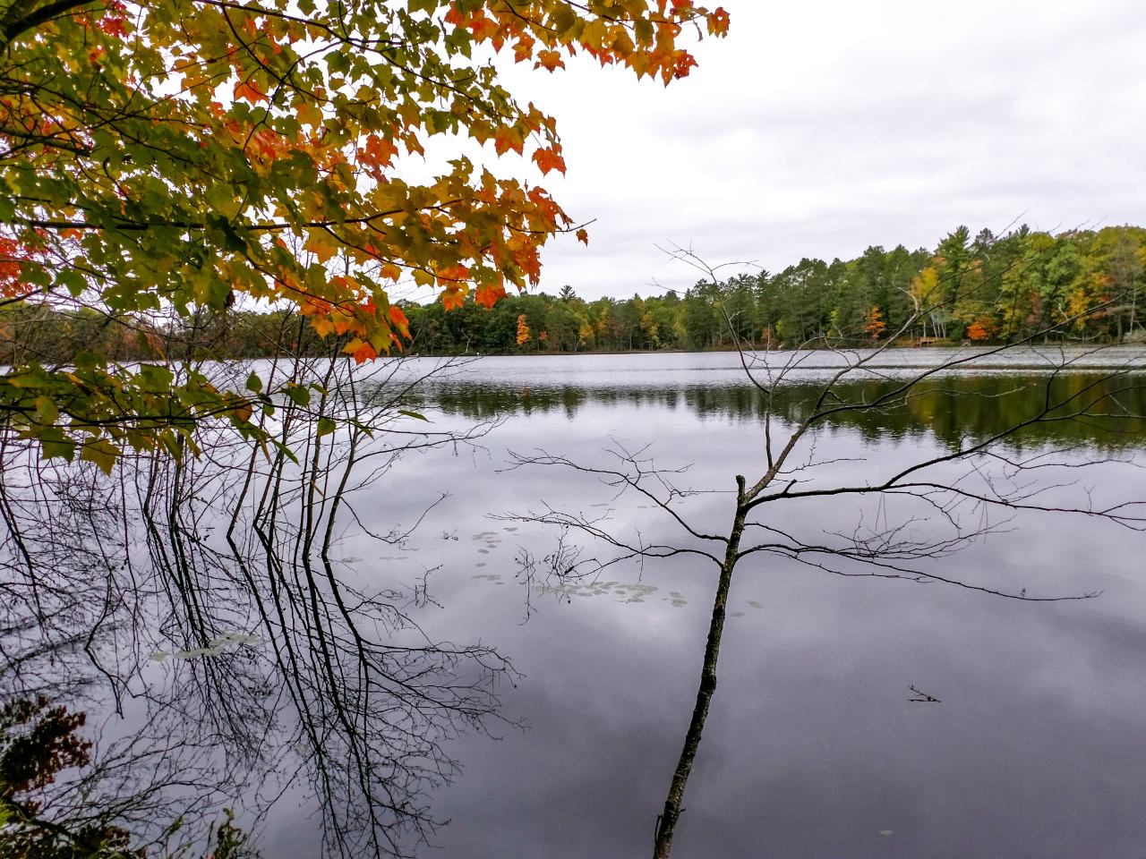 7424 Clear Lake Road Rhinelander, WI 54501 - Photo 16 of 21 Gallery Image 16