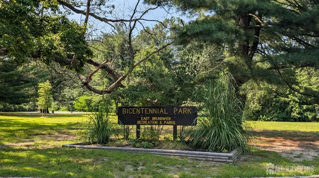 a view of a park with large trees