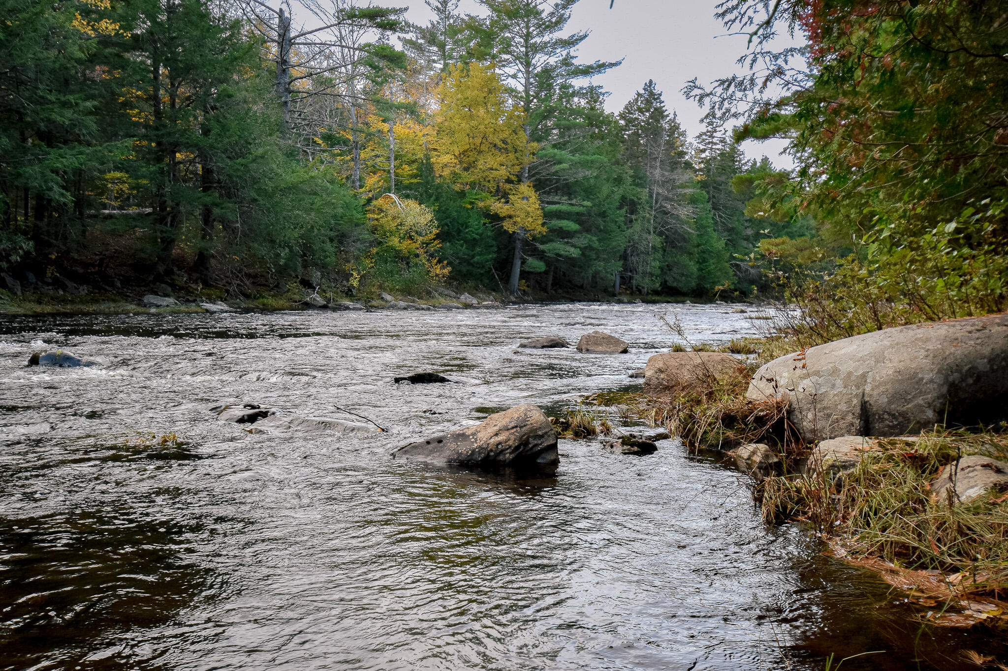 Lot 8 Coles Corner Road Abbot, ME 04406 - Photo 66 of 77 DSC_0982
