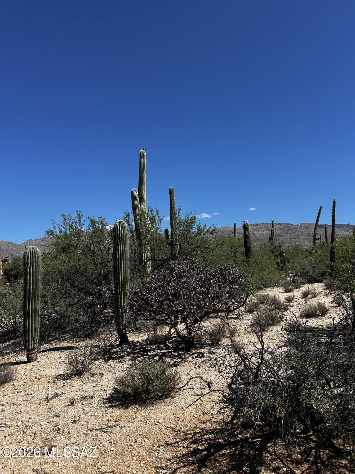East Roger Road, Unit 46 Tucson, AZ 85749 - Photo 31 of 38