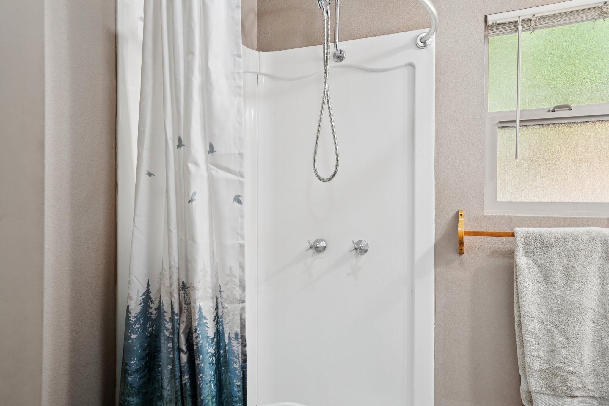 25140 Lodge Road Idyllwild, CA 92549 - Photo 13 of 35 a bathroom with a shower
