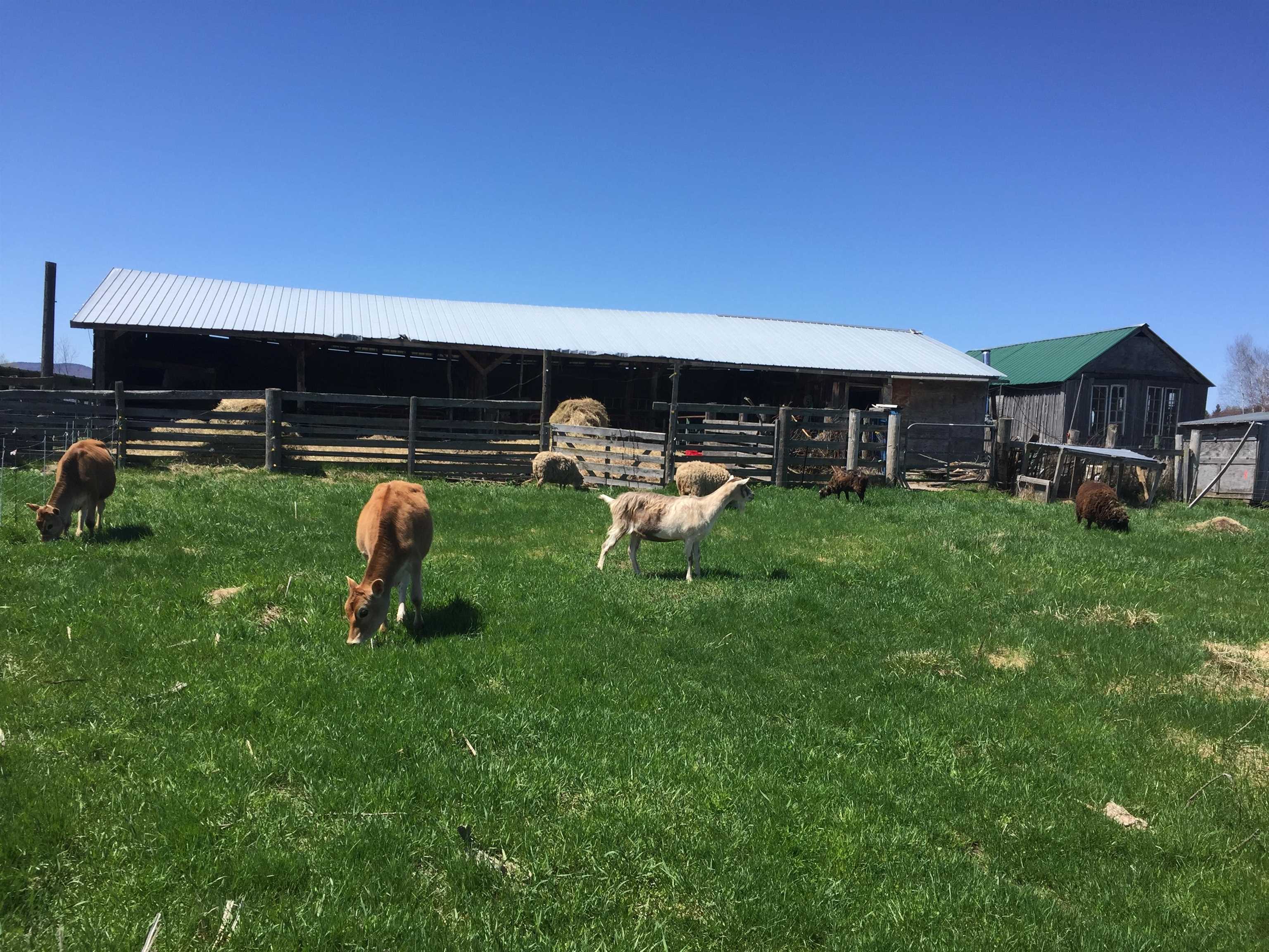 1602 Bear Mountain Road Troy, VT 05859 - Photo 49 of 60