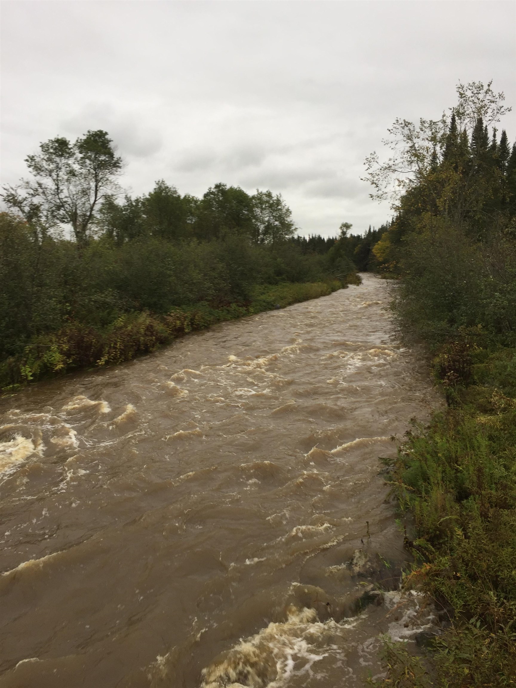 1602 Bear Mountain Road Troy, VT 05859 - Photo 52 of 60