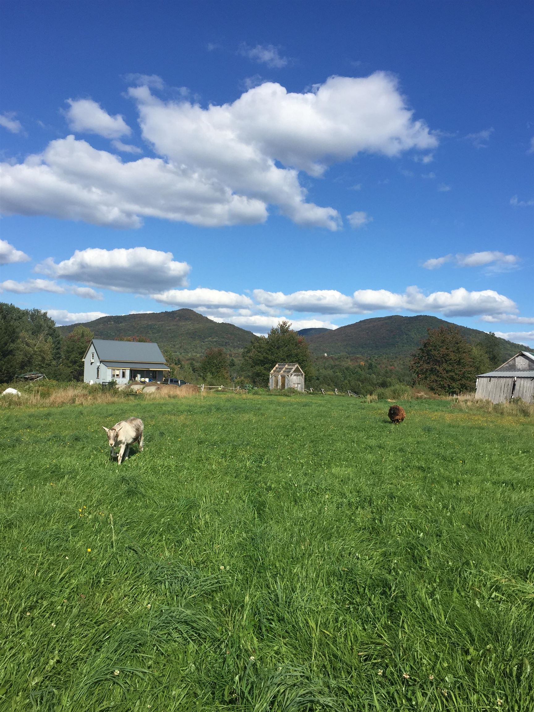 1602 Bear Mountain Road Troy, VT 05859 - Photo 55 of 60