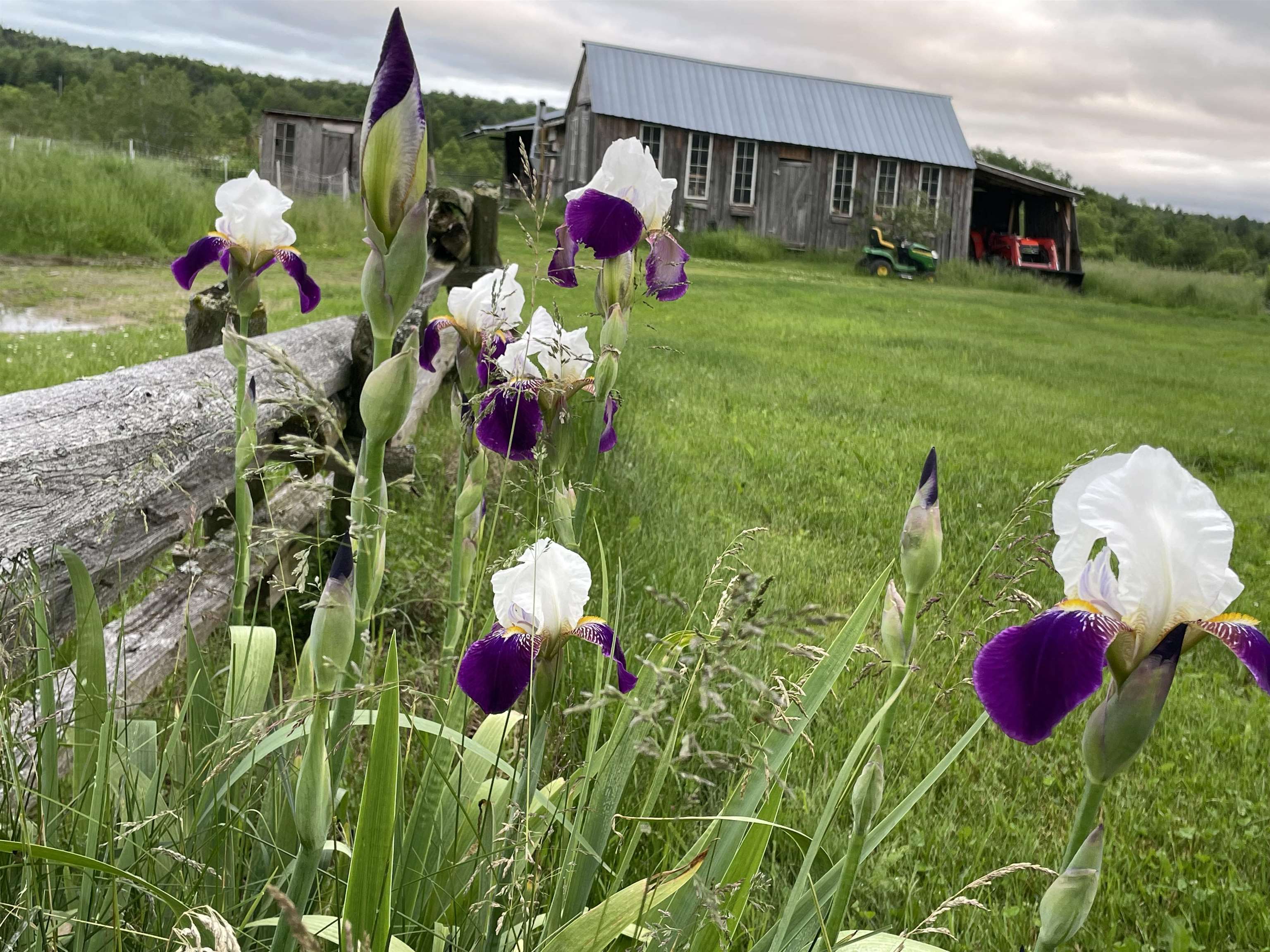 1602 Bear Mountain Road Troy, VT 05859 - Photo 56 of 60