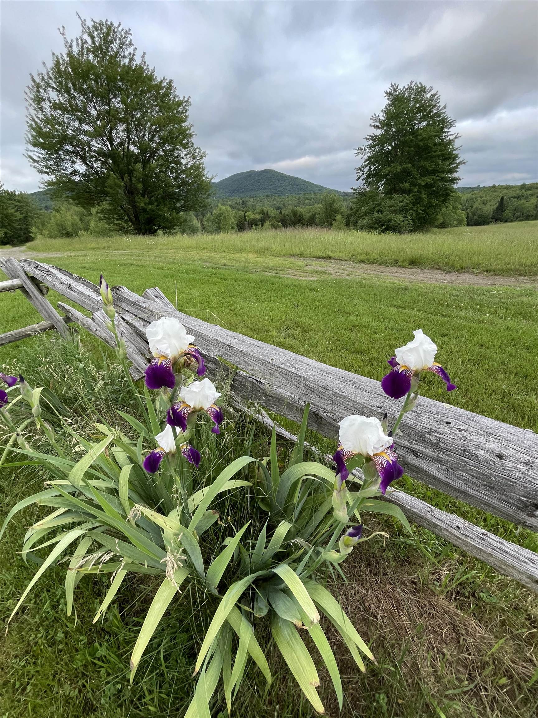 1602 Bear Mountain Road Troy, VT 05859 - Photo 57 of 60