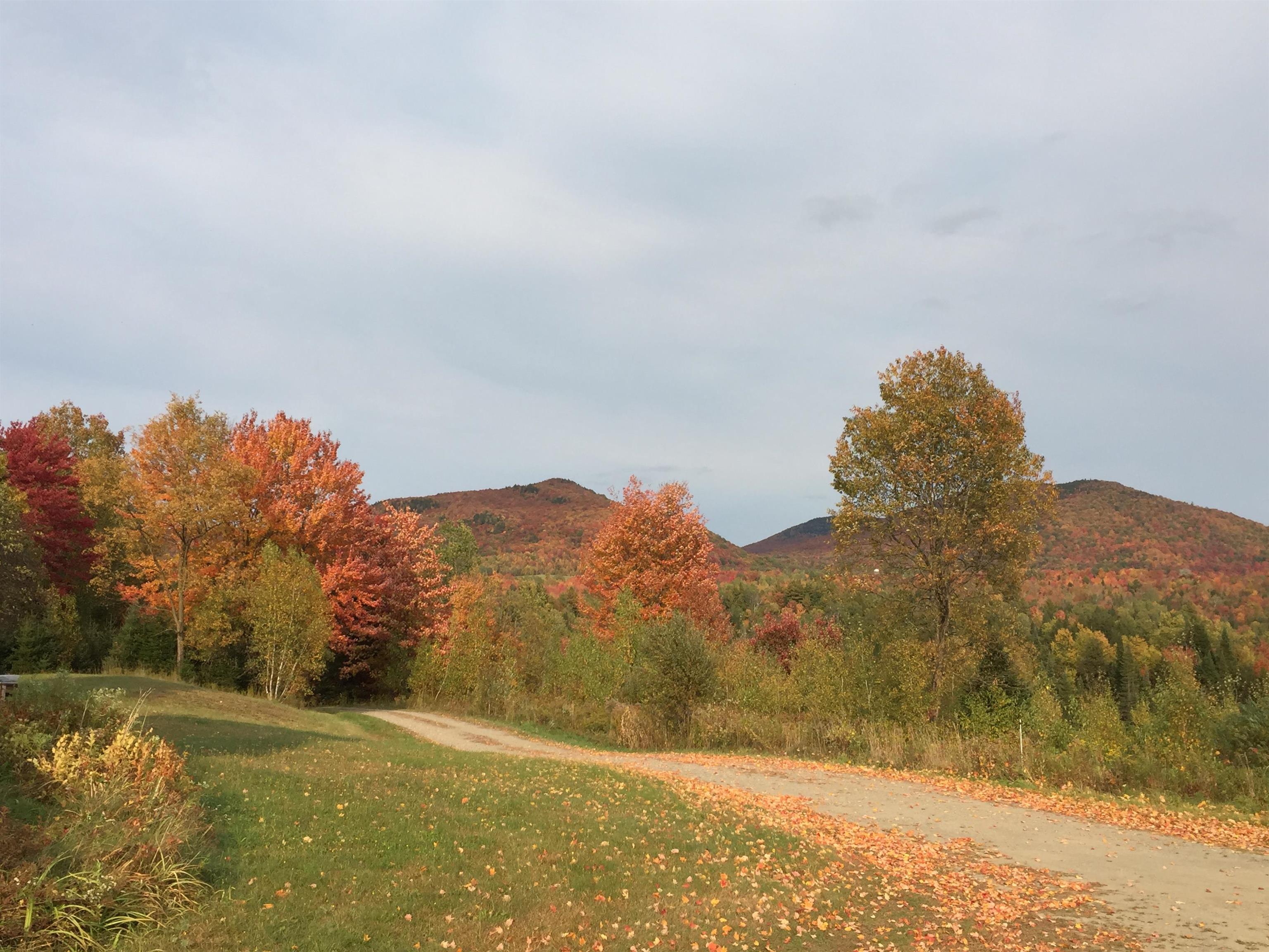 1602 Bear Mountain Road Troy, VT 05859 - Photo 60 of 60