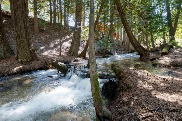 $385,000 | 341-xx North Blanchard Creek Road, Unit 59344 9025, Newport, WA 99156