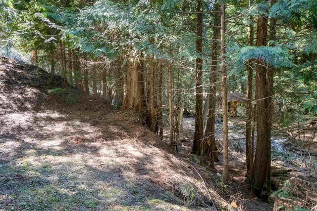 $385,000 | 341-xx North Blanchard Creek Road, Unit 59344 9025, Newport, WA 99156