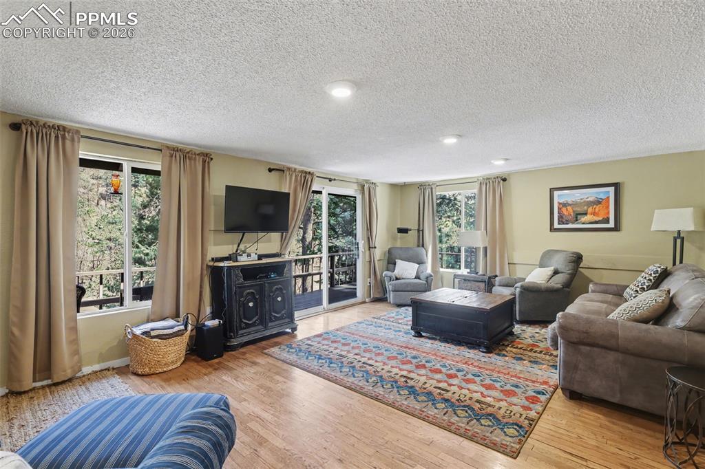 10145 Chipita Park Road Cascade, CO 80809 - Photo 16 of 33 Living area with hardwood flooring, and a lot of natural lighting