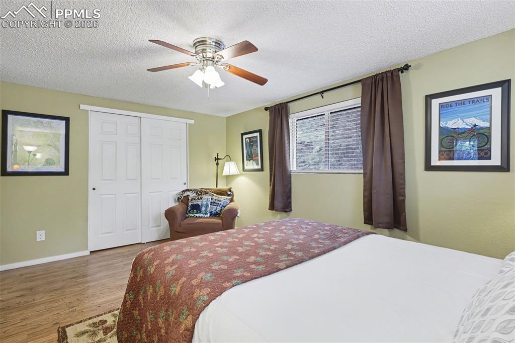 10145 Chipita Park Road Cascade, CO 80809 - Photo 21 of 33 Primary bedroom with hardwood flooring