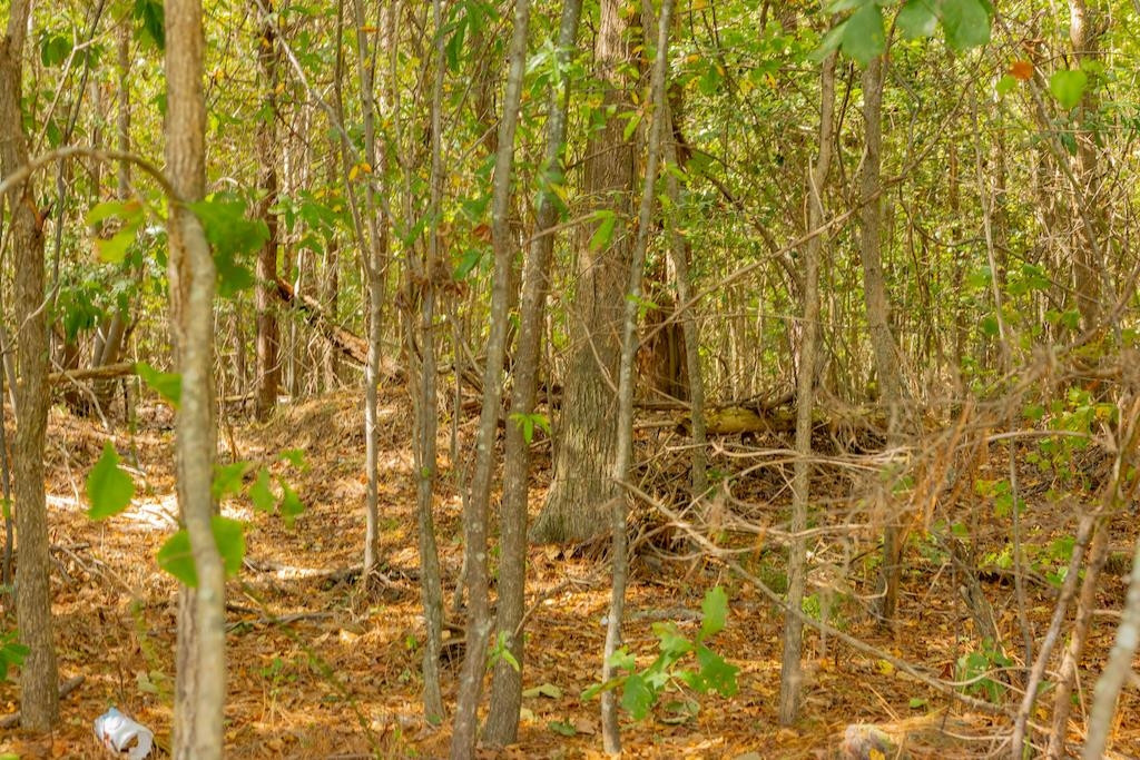 0 Pony Farm Road Siler City, NC 27344 - Photo 18 of 34 Photo 18