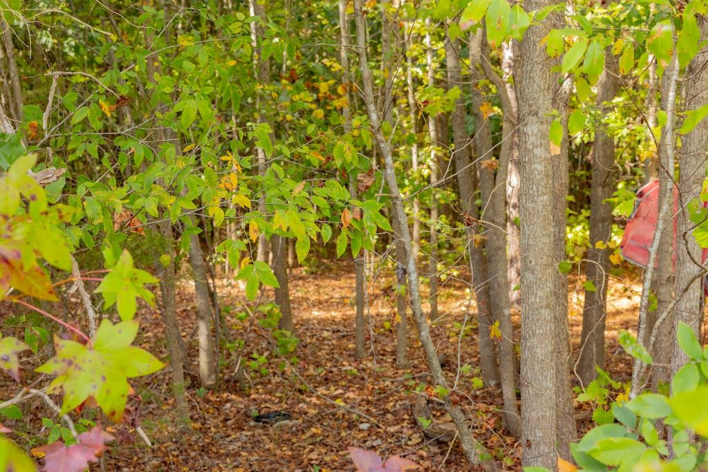 0 Pony Farm Road Siler City, NC 27344 - Photo 20 of 34 Photo 20
