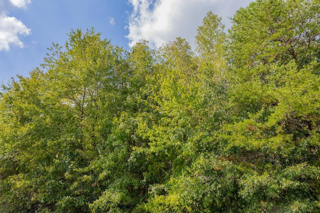 0 Pony Farm Road Siler City, NC 27344 - Photo 22 of 34 Photo 22