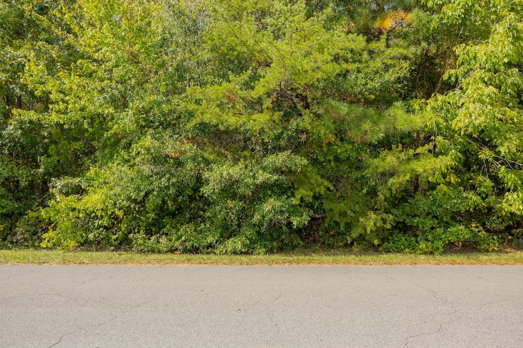 0 Pony Farm Road Siler City, NC 27344 - Photo 25 of 34 Photo 25