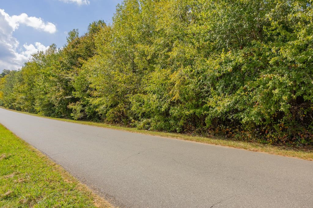 0 Pony Farm Road Siler City, NC 27344 - Photo 26 of 34 Photo 26