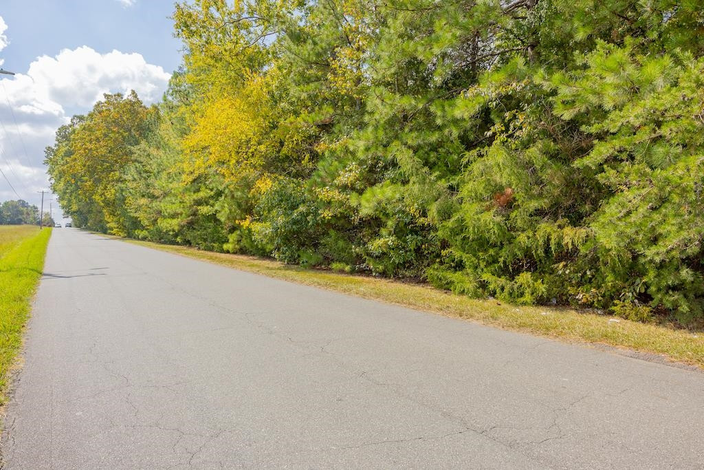 0 Pony Farm Road Siler City, NC 27344 - Photo 28 of 34 Photo 28