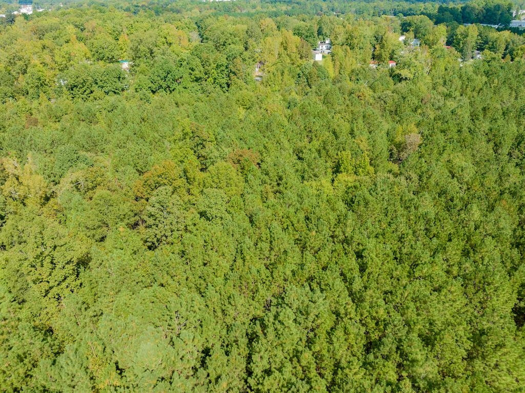 0 Pony Farm Road Siler City, NC 27344 - Photo 6 of 34 Photo 6