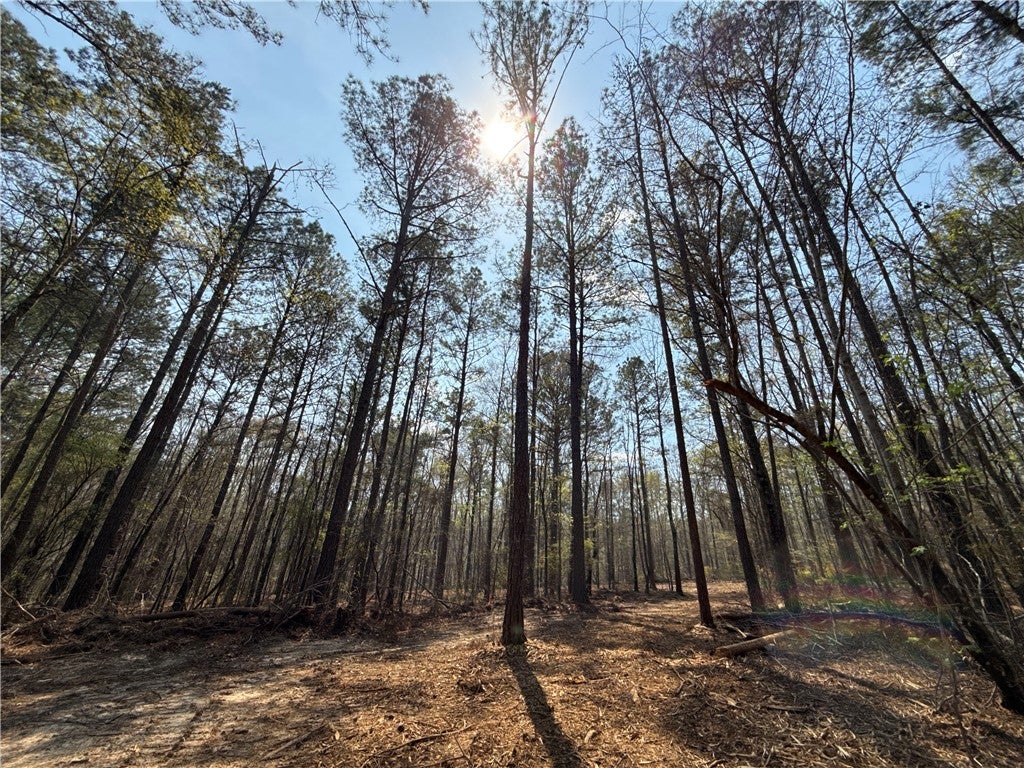0 Heard Road Waverly, AL 36879 - Photo 8 of 11 Gallery Image 8