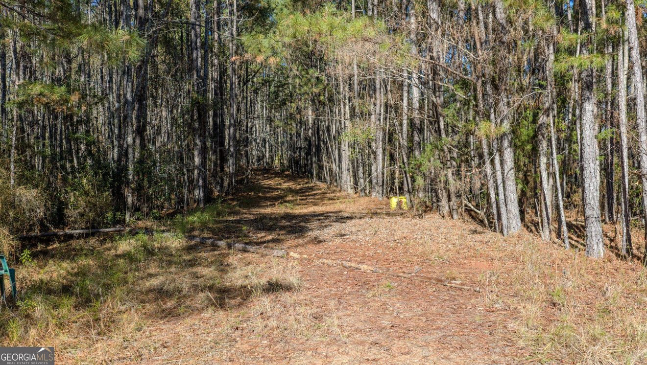 0 Antioch Road LaGrange, GA 30240 - Photo 6 of 13