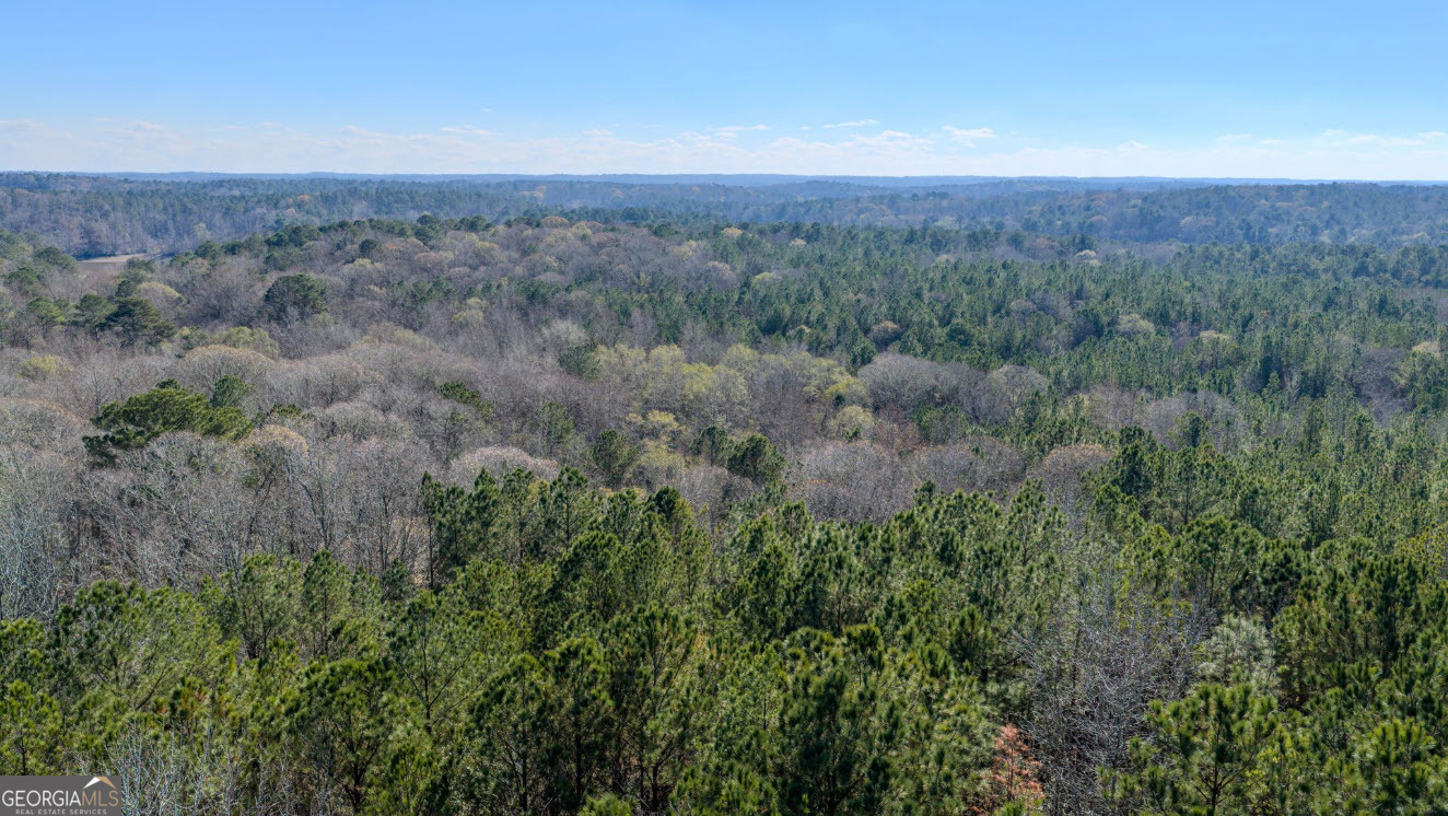 0 Antioch Road LaGrange, GA 30240 - Photo 7 of 13