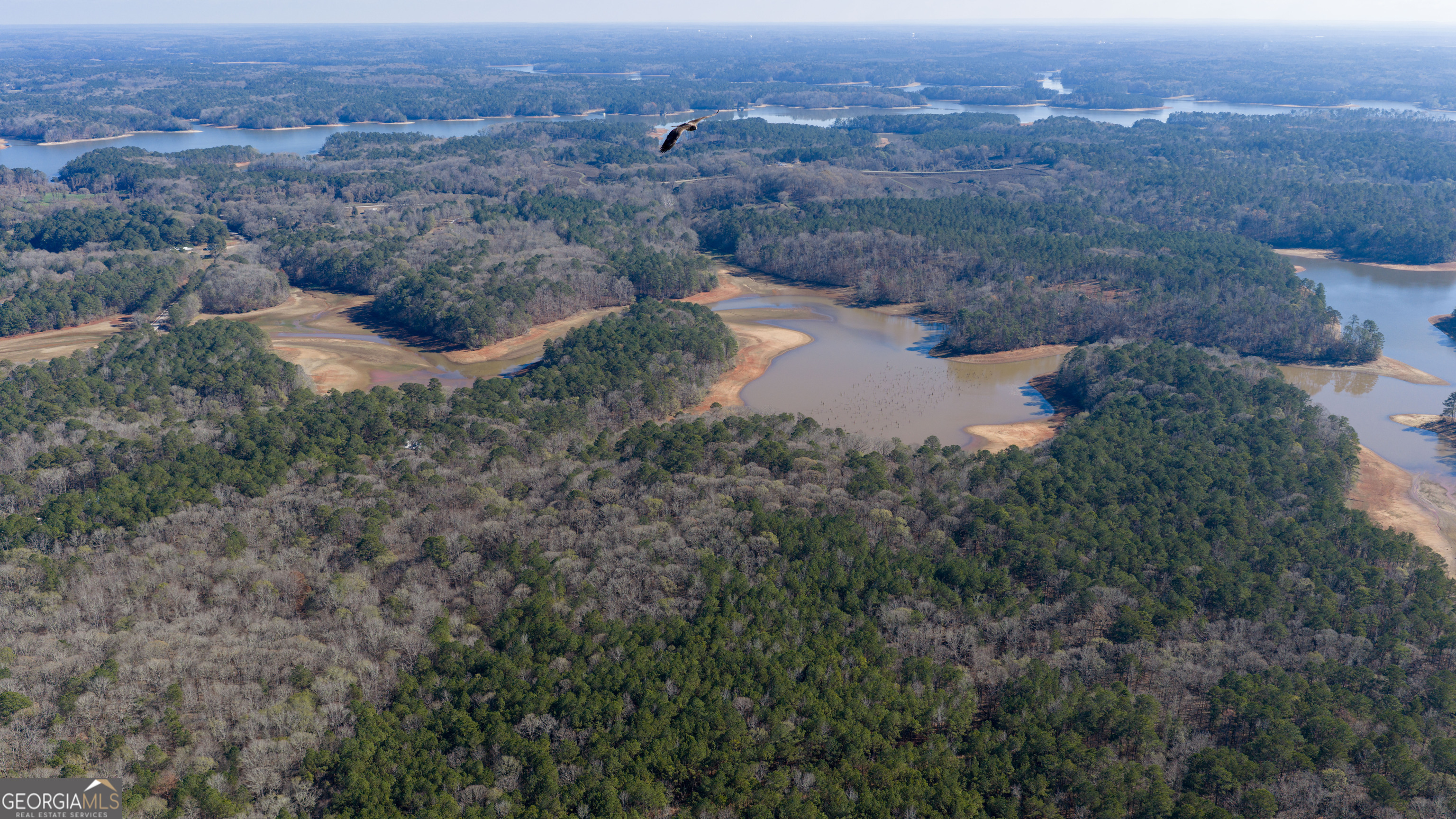 0 Antioch Road LaGrange, GA 30240 - Photo 9 of 13