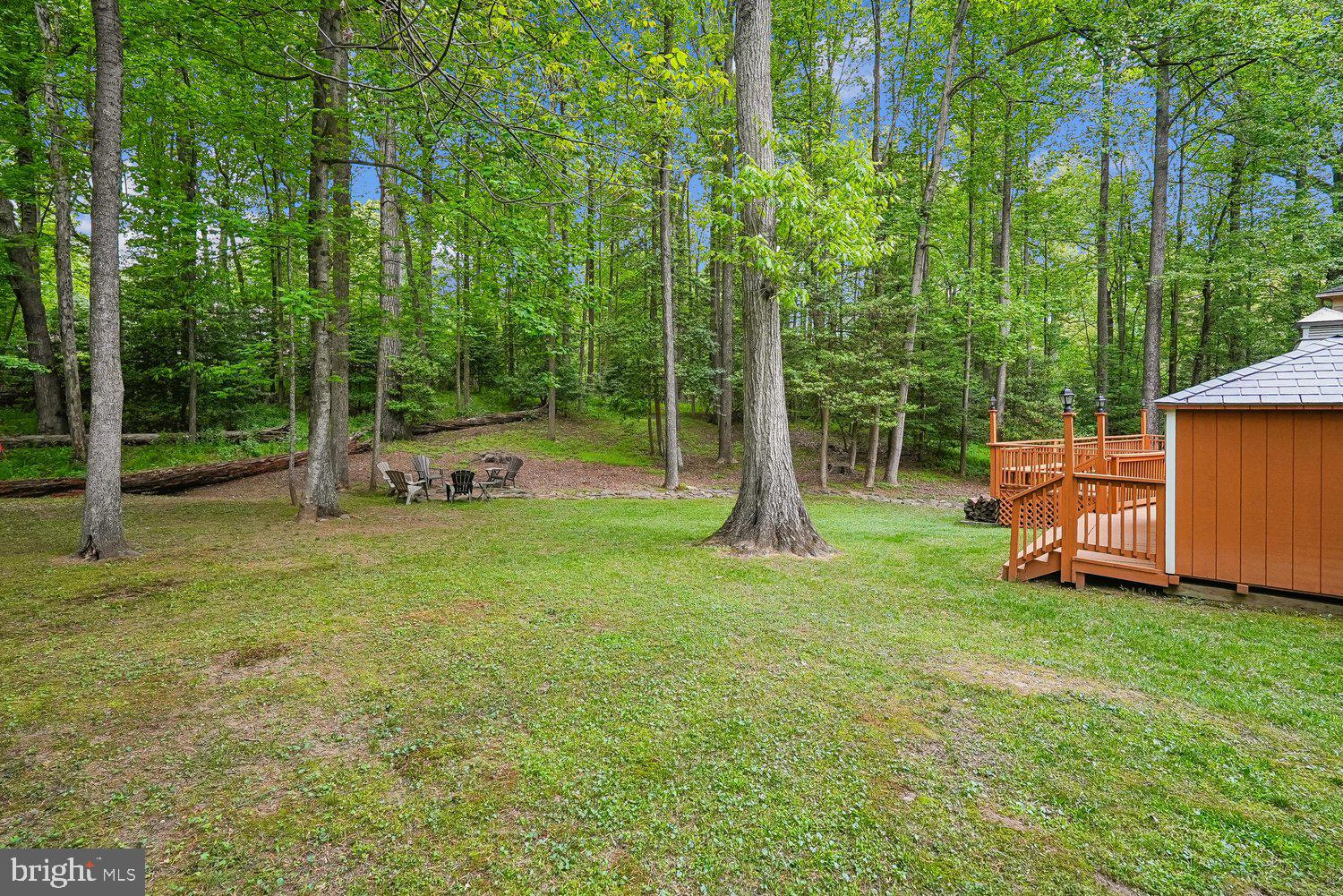 11732 Stuart Mill Road Oakton, VA 22124 - Photo 69 of 79 Back Yard