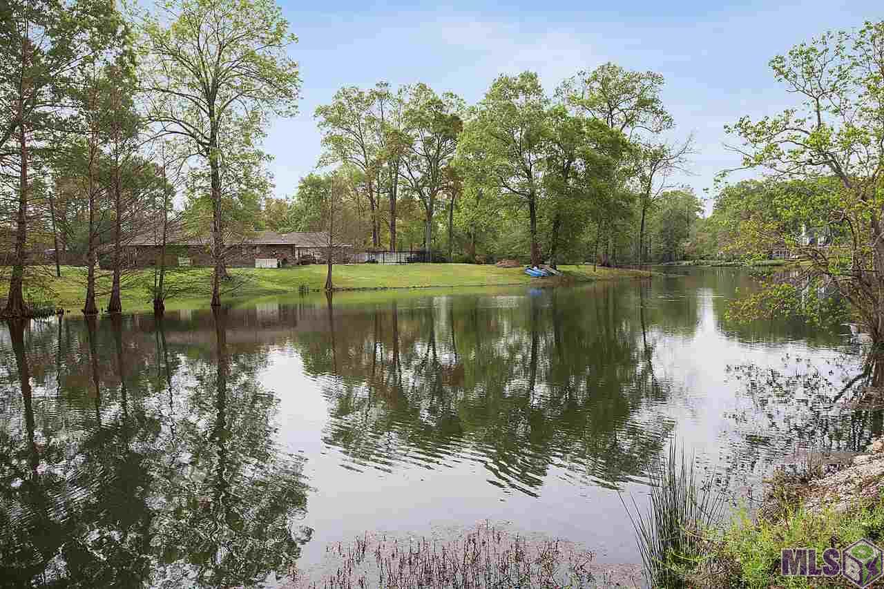 25445 Bickham Road Jackson, LA 70748 - Photo 18 of 18 Neighborhood Lake