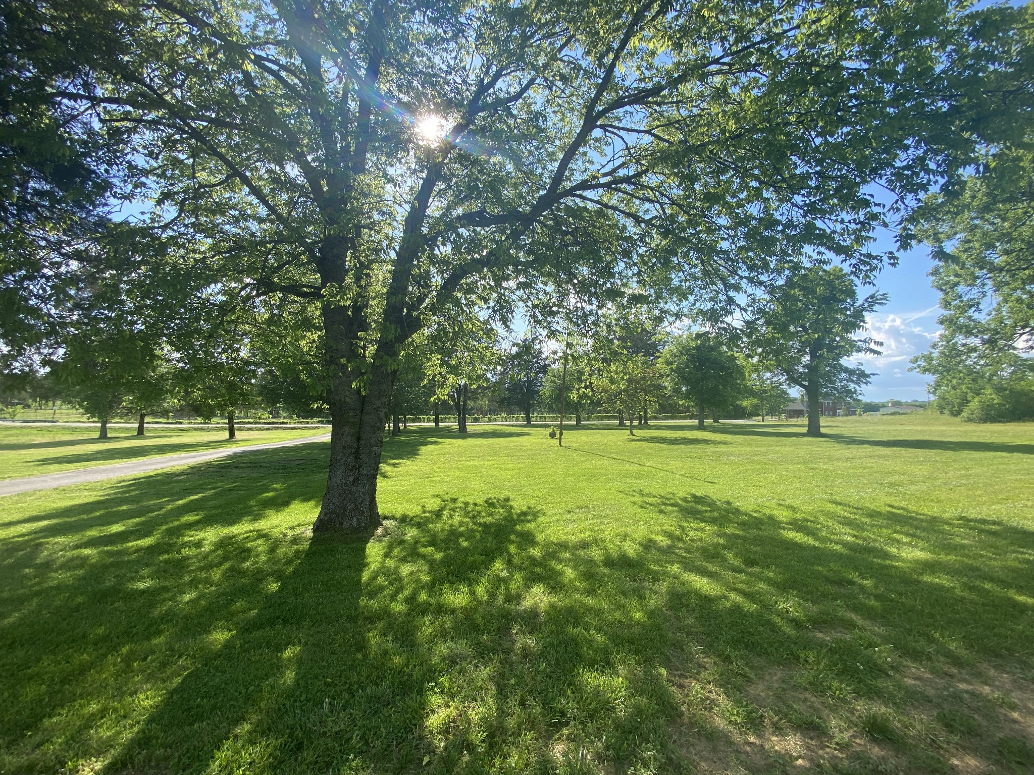 12034 Patterson Road Rockvale, TN 37153 - Photo 4 of 23 Gallery Image 4