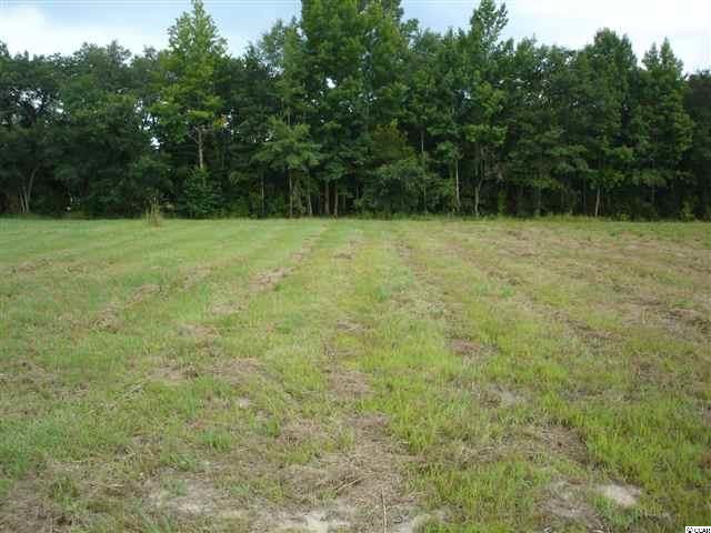 6694 St Peters Church Road Myrtle Beach, SC 29588 - Photo 1 of 7 Gallery Image 1