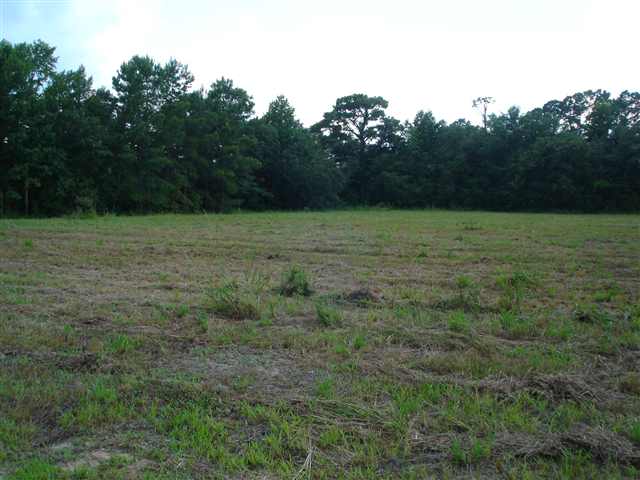 6694 St Peters Church Road Myrtle Beach, SC 29588 - Photo 2 of 7 Gallery Image 2