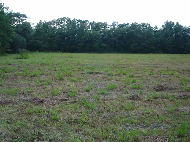 6694 St Peters Church Road Myrtle Beach, SC 29588 - Photo 3 of 7 Gallery Image 3