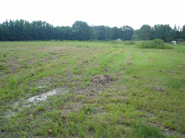 6694 St Peters Church Road Myrtle Beach, SC 29588 - Photo 4 of 7 Gallery Image 4