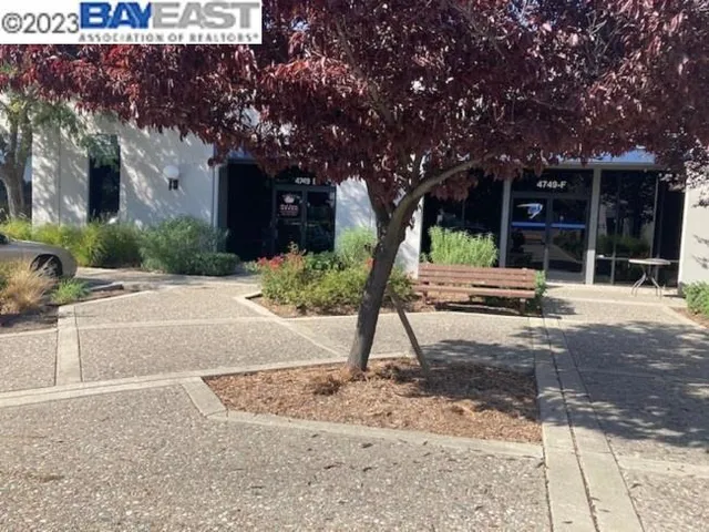 a view of a tree with a yard