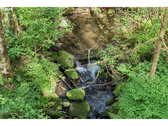 $699,969 | 71848 North Shore Drive, Birkenfeld, OR 97016