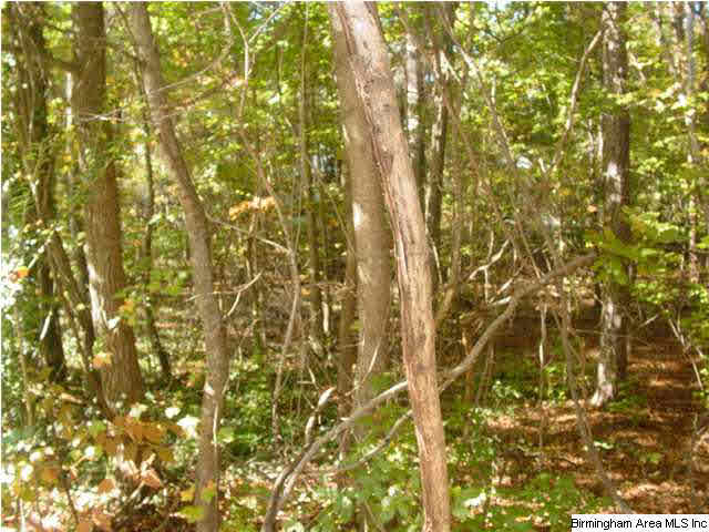Old Choccolocco Road, Unit 73 Anniston, AL 36207 - Photo 2 of 30