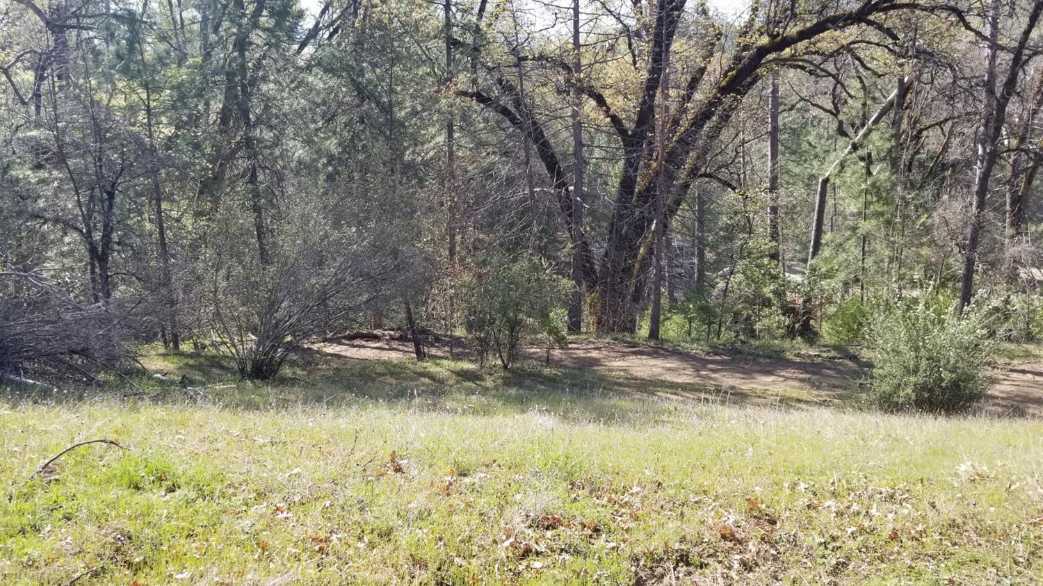 0 Pettitt Road Oakhurst, CA 93644 - Photo 1 of 1 Gallery Image 1