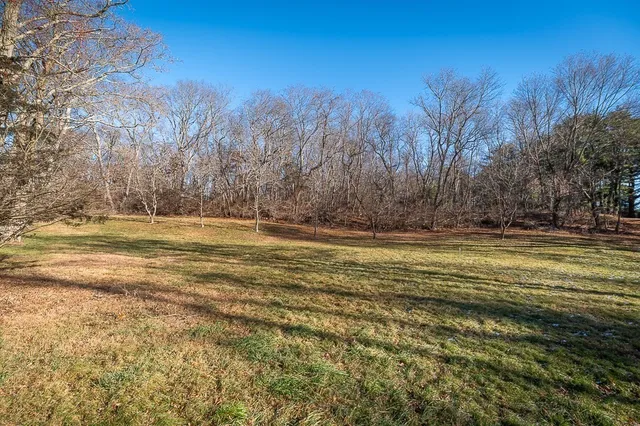 a view of outdoor space with trees