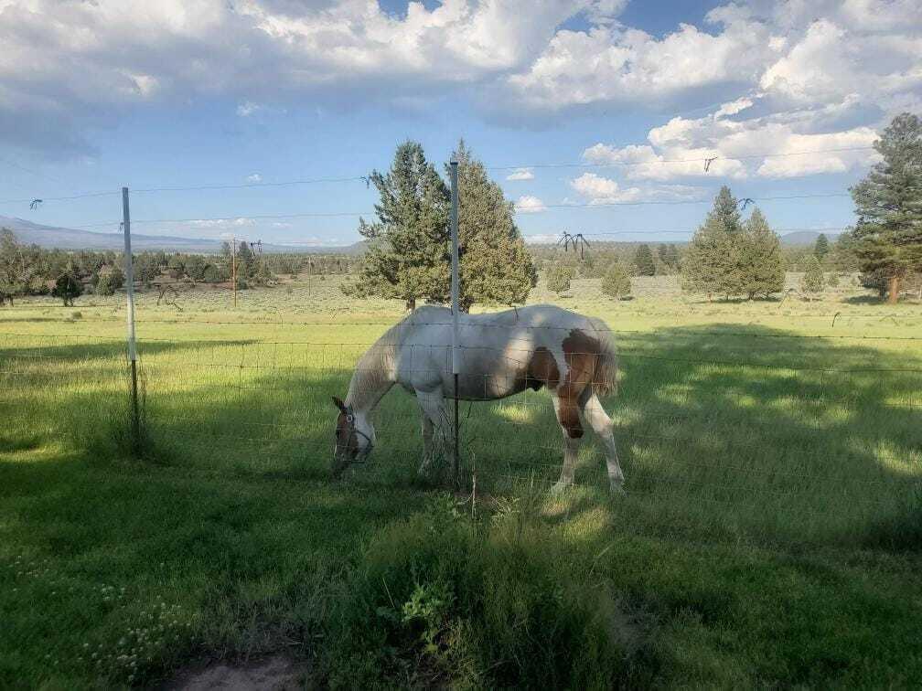 17703 Fishhole Creek Road Bly, OR 97622 - Photo 16 of 34 IMG-20260330-WA0017