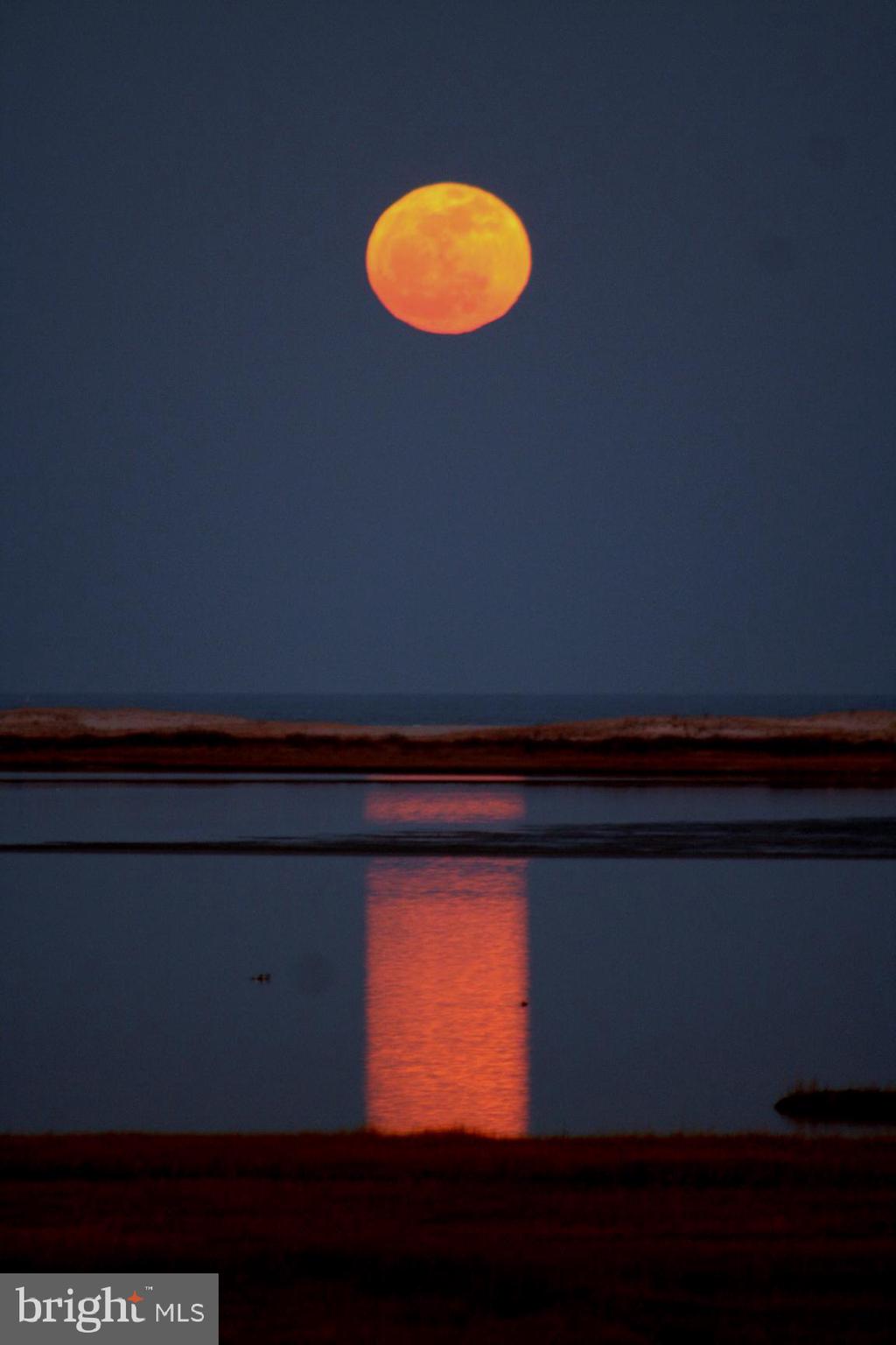 12345 Snug Harbor Road Berlin, MD 21811 - Photo 36 of 80 12345 Snug Harbor RD Moon-Rise from Deck
