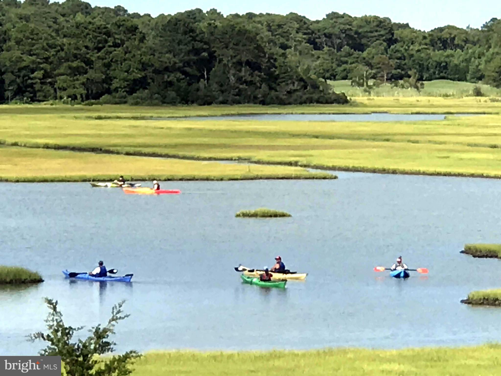 12345 Snug Harbor Road Berlin, MD 21811 - Photo 55 of 80 Kayaking on the March