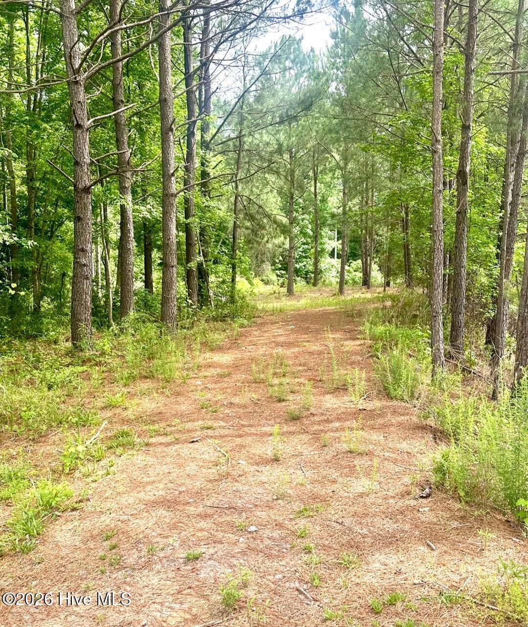 3984 Pocosin Road Lake Waccamaw, NC 28450 - Photo 43 of 56 Screenshot_20260112-201907_Gallery