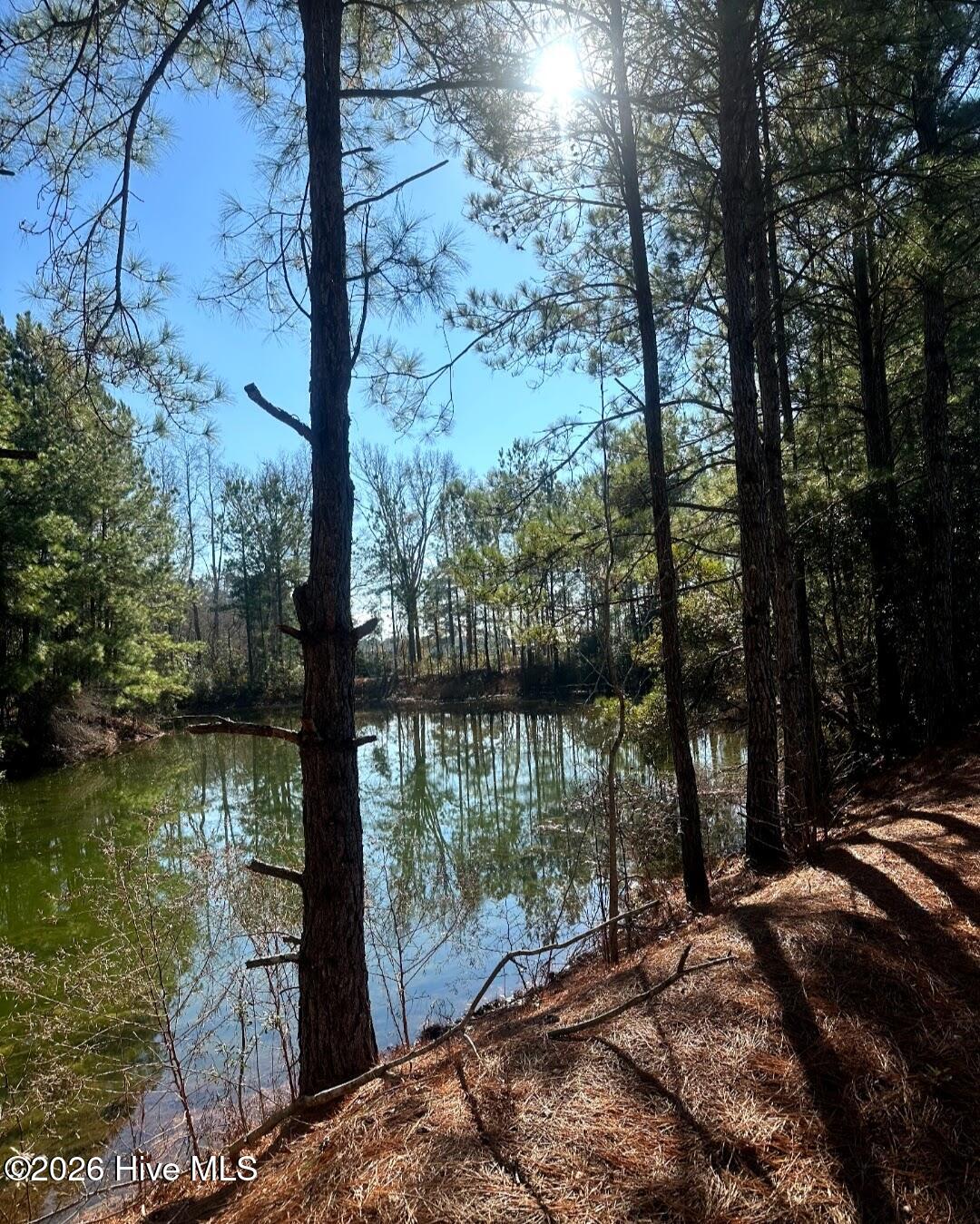 3984 Pocosin Road Lake Waccamaw, NC 28450 - Photo 50 of 56 Screenshot_20260112-202353_Gallery