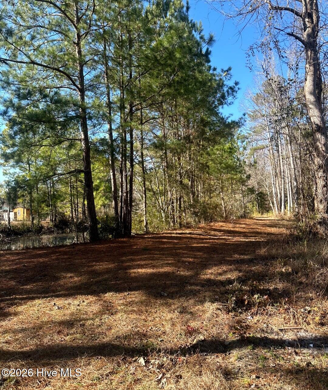 3984 Pocosin Road Lake Waccamaw, NC 28450 - Photo 52 of 56 Screenshot_20260112-202405_Gallery