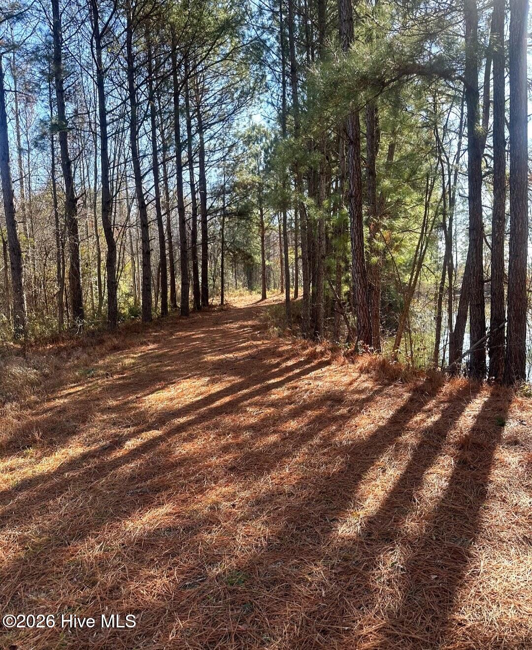 3984 Pocosin Road Lake Waccamaw, NC 28450 - Photo 53 of 56 Screenshot_20260112-202407_Gallery