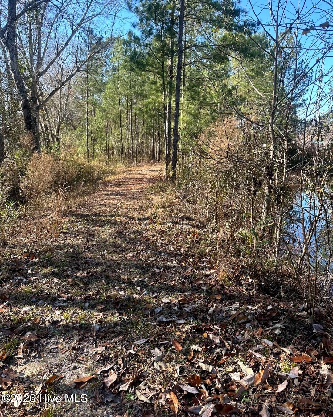 3984 Pocosin Road Lake Waccamaw, NC 28450 - Photo 54 of 56 Screenshot_20260112-202416_Gallery