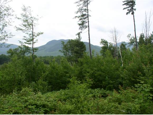A63 Parker Ridge Road Bartlett, NH 03812 - Photo 1 of 1