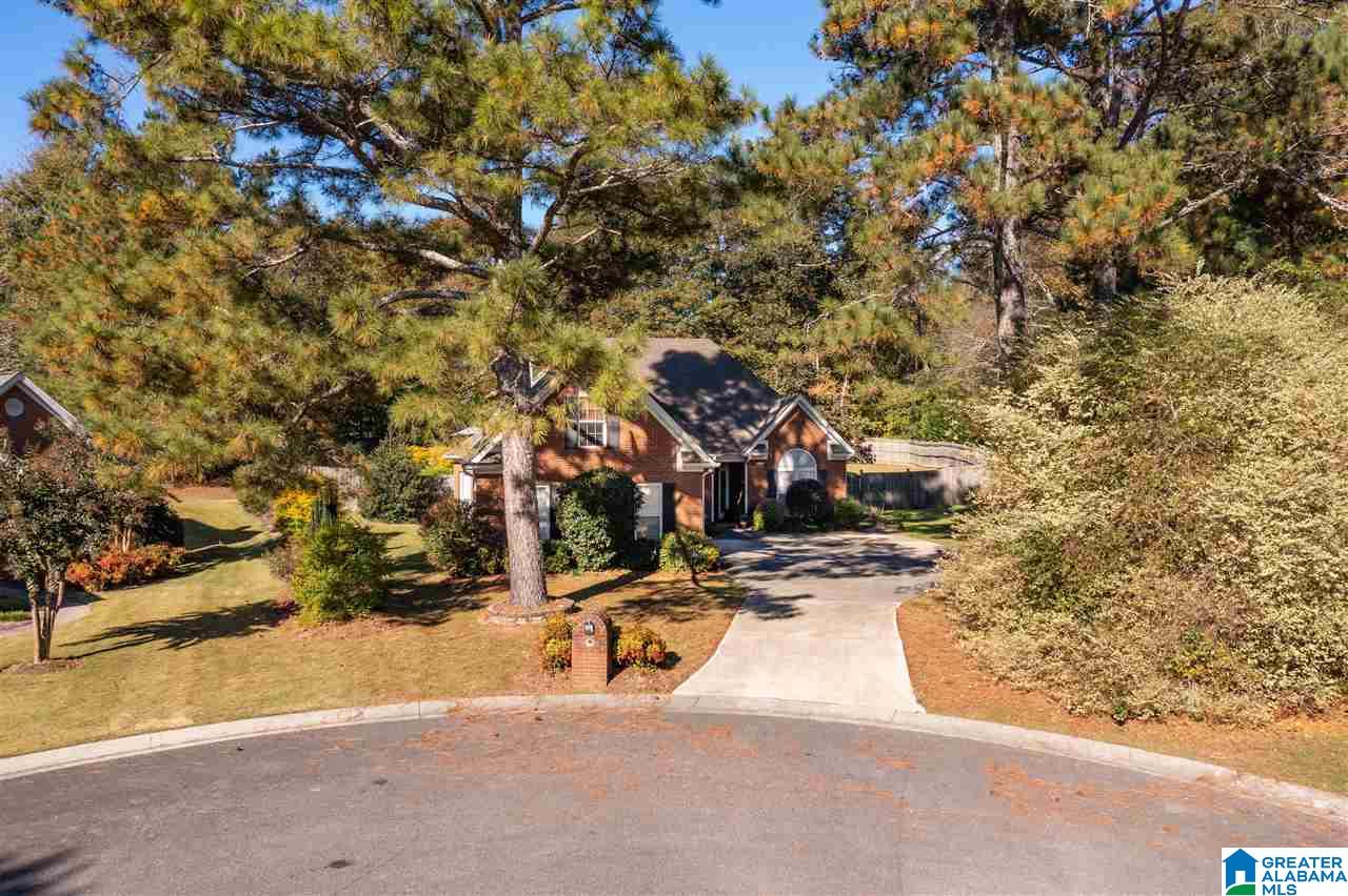 155 Meadow Brook Springville, AL 35146 - Photo 3 of 49