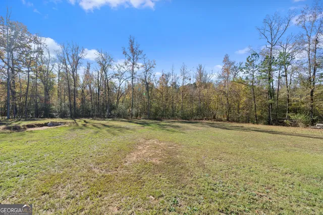 a view of a swimming pool and trees in the background