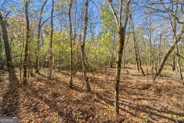 a view of covered with green space